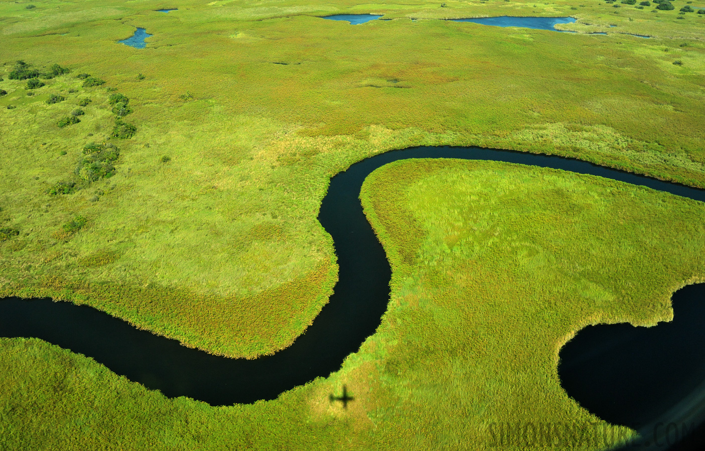 Okavango Delta Mai 2014 [28 mm, 1/2500 Sek. bei f / 8.0, ISO 2500]